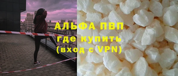 гашик Арсеньев