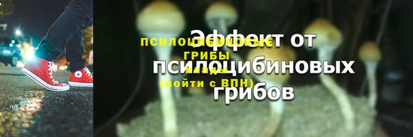 стафф Армянск