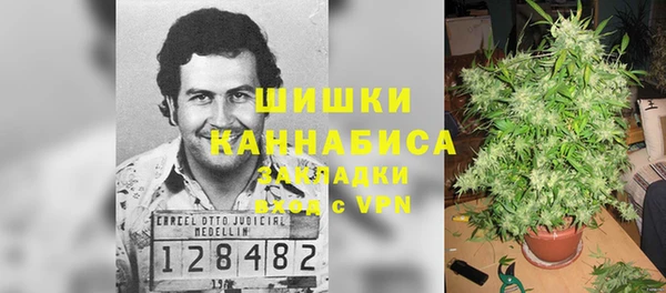 гашик Арсеньев