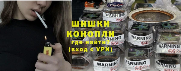 гашик Арсеньев