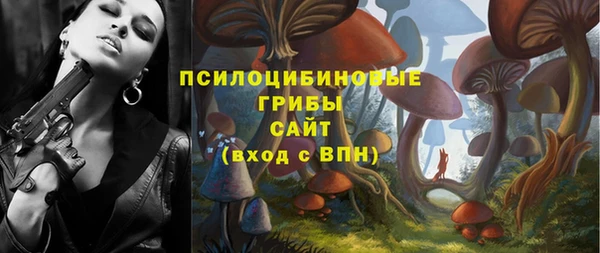 стафф Армянск
